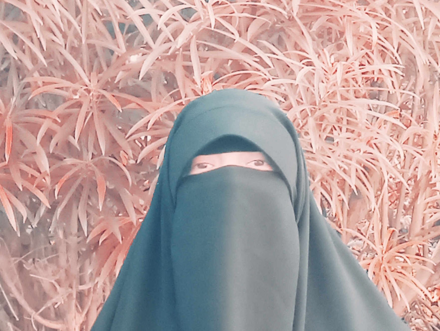 فاطمة علي أحمد